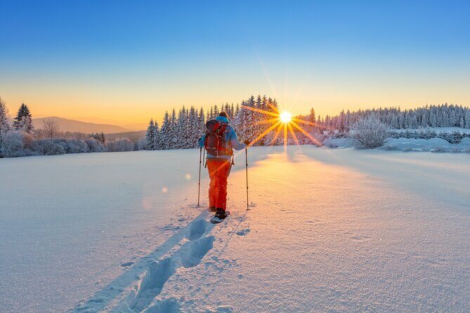 Snowshoeing at The Top of The Sea to Sky Gondola - Sea to Sky Gondola to Summit Lodge: views that set the tone