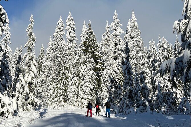 Snowshoeing at The Top of The Sea to Sky Gondola - Snowshoeing at the summit: what conditions can feel like