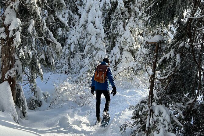 Snowshoeing at The Top of The Sea to Sky Gondola - Who this tour fits best (and who might want a different plan)