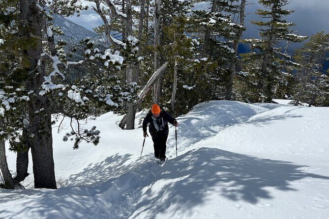 Snowshoeing at The Top of The Sea to Sky Gondola - The Sky Pilot suspension bridge moment