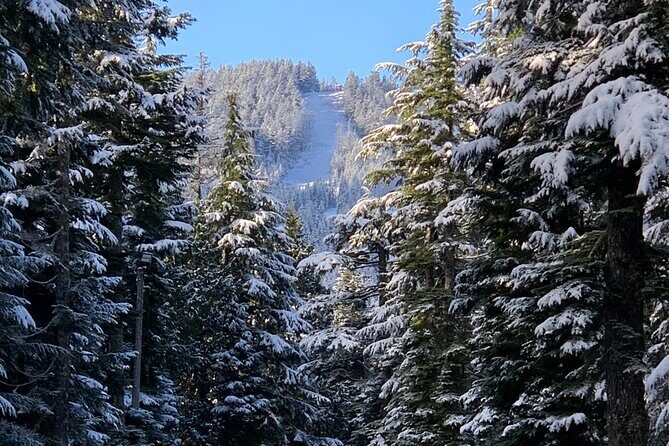 Snowshoeing In Vancouver's Winter Wonderland - Value: Why $119.72 Can Feel Worth It