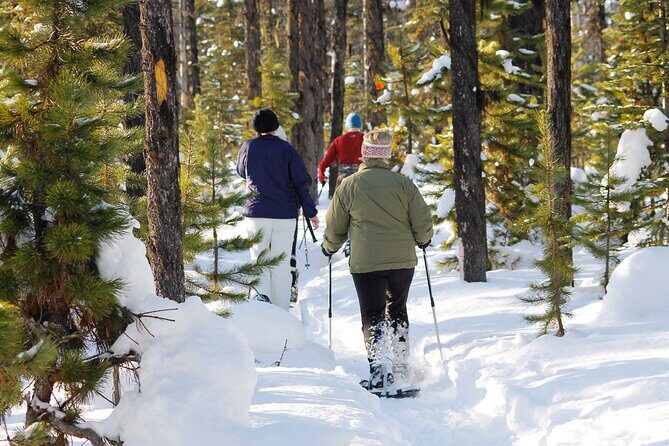Snowshoeing In Vancouver's Winter Wonderland - How the 4 Hours Play Out (and Where the Time Really Goes)