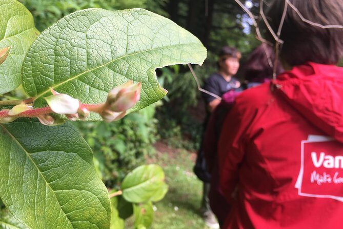 Spoken Treasures: Stanley Park Indigenous Walking Tour - Should you book Spoken Treasures?