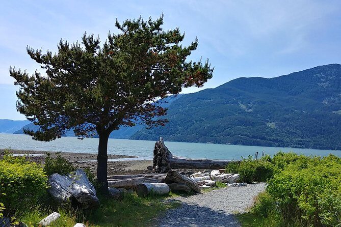 Squamish Howe Sound Explorer Private Tour - Capilano Suspension Bridge Park: canyon views plus treetop and glass walkway time