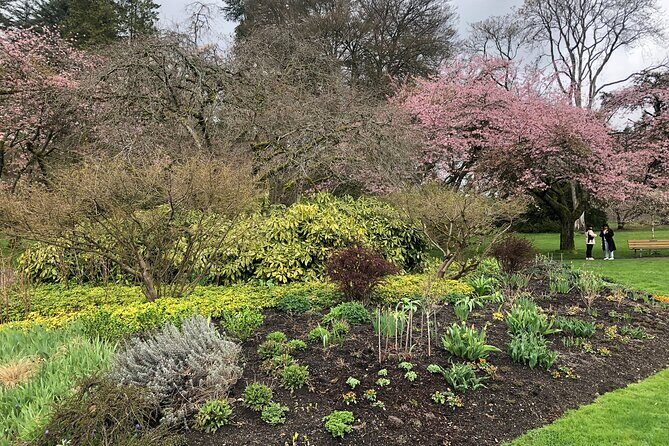 Stanley Park Bike Adventure with Lux Car Pick Up Affordable Easy - Rose Garden Beauty and Vancouver Rowing Club Views
