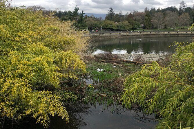 Stanley Park Bike Adventure with Lux Car Pick Up Affordable Easy - Third Beach and Second Beach: Quiet Water Time on the Ride