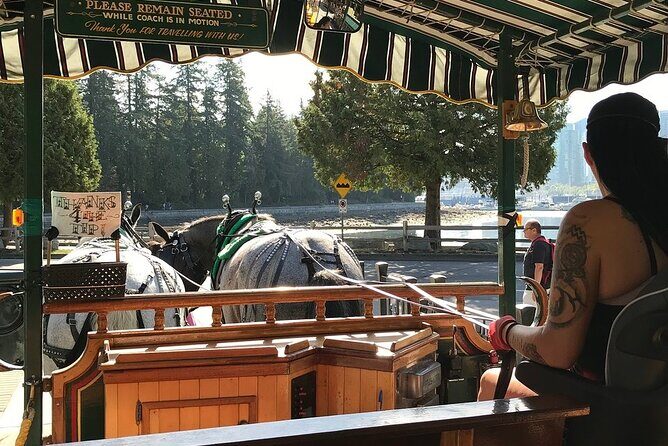 Stanley Park Horse Drawn Tour in Vancouver - Horses, comfort, and the small-group feel (max 9 people)
