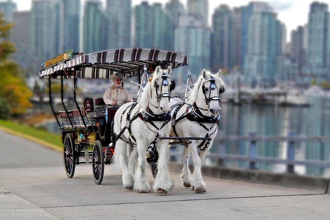 Stanley Park Horse Drawn Tour in Vancouver - Totem poles stop: great photos, short legs, tight timing