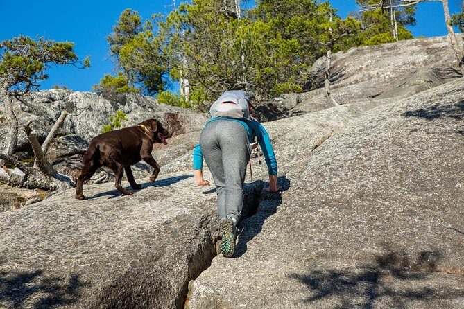 Stawamus Chief Hike & Local Brewery Tasting - Stawamus Chief Park: The Self-Guided Climb to the Most Popular Peak