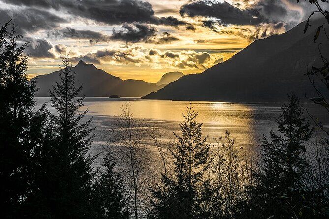 Sunset Boat Cruise in Vancouver - Who This Cruise Is Perfect For (and Who Should Skip It)