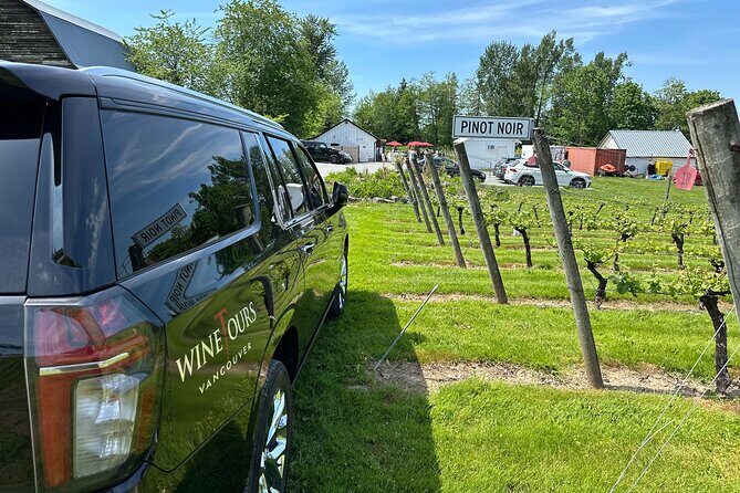 Taste of the Valley Private Wine Tour - Key Highlights You’ll Actually Feel During the Day