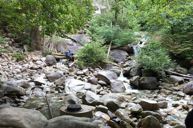 Unforgettable Whistler ( Full Day Private Tour) - Brandywine Falls and Shannon Falls: easy walks with big camera energy