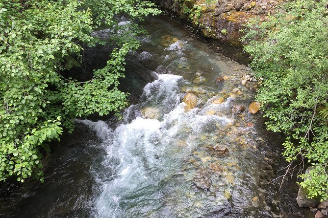 Unforgettable Whistler ( Full Day Private Tour) - Price and value: why private transport costs more, and when it pays off