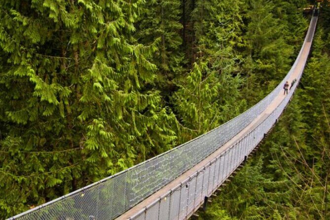 Vancouver 1-Day city tour - Capilano Suspension Bridge Park: the bridge that turns a walk into a wow moment