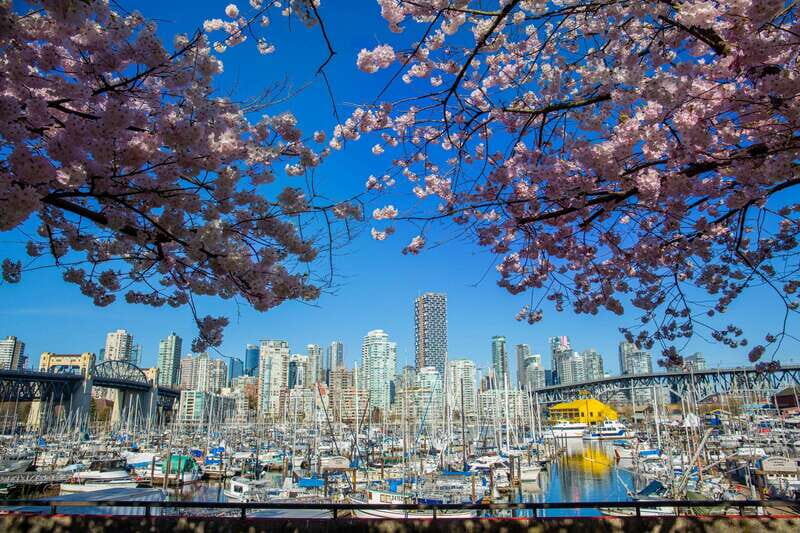 Vancouver: 24 or 48-Hour Hop-On Hop-Off Trolley Tour Pass - Price and value: what you’re really paying for