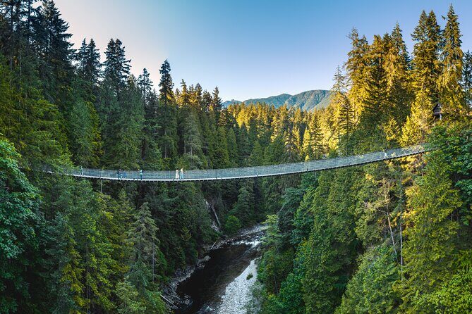 Vancouver and Capilano Suspension Bridge, a Soft Adventure Tour - Capilano Suspension Bridge Park: rainforest views plus real time on the trails