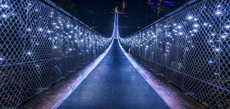 Vancouver: Attractions by Twilight Guided Tour with Dinner - A 5-hour Vancouver night route that feels efficient