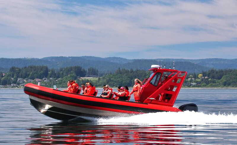 Vancouver, BC: Whale Watching Tour Small Zodiac with Guide - What to Pack (and What to Avoid) for a Comfortable Zodiac Ride