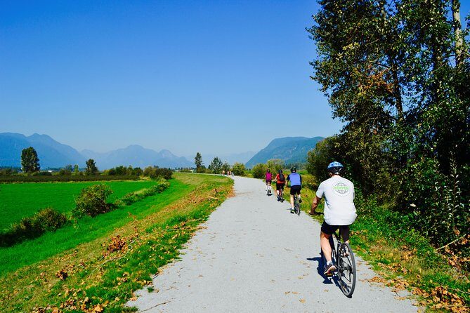 Vancouver Biking and Hiking Tour including Lunch - Lynn Canyon Park: the suspension bridge hike that feels like a mini adventure