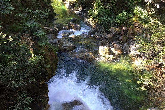 Vancouver Biking and Hiking Tour including Lunch - Golden Ears and Pinecone Burke views: why the cycling route feels special