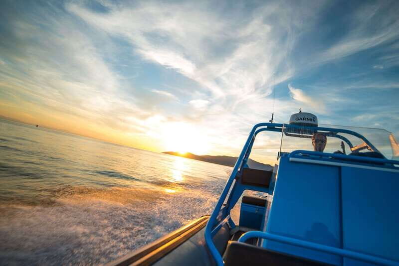 Vancouver: Bowen Island Boat Cruise with Dinner - Wildlife spotting and sunset timing: how to get the best views