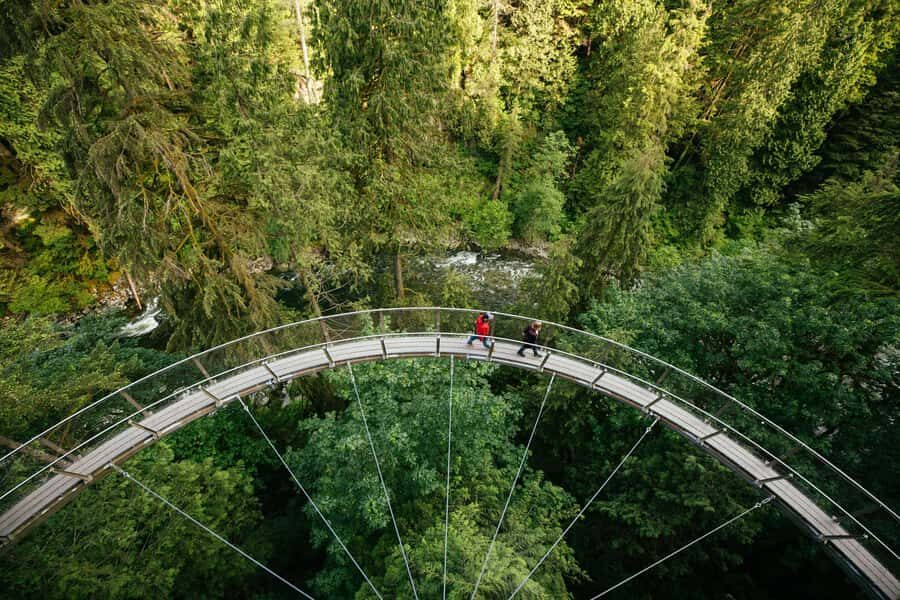 Vancouver: Capilano Bridge, Cleveland Dam & Lynn Canyon Tour - How the small-group format changes the day