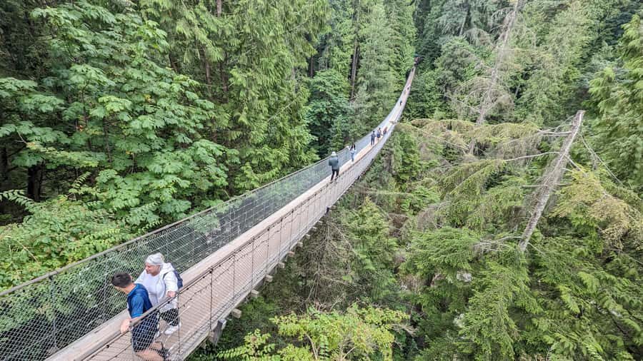 Vancouver: Capilano Bridge, Cleveland Dam & Lynn Canyon Tour - Capilano Suspension Bridge Park: the 137-metre wow factor