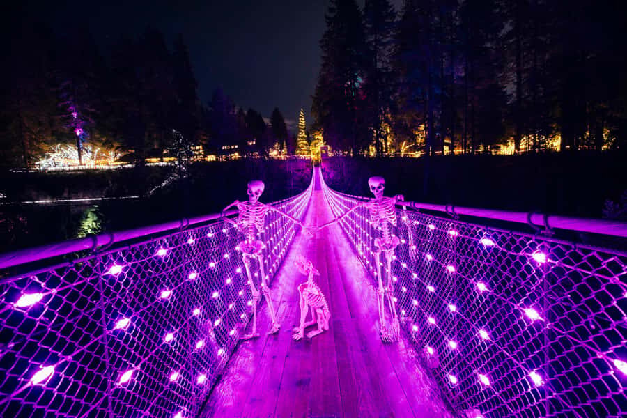 Vancouver: Capilano Bridge, Cleveland Dam & Lynn Canyon Tour - Timing and pacing: how to get the best out of limited time