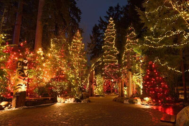Vancouver: Christmas Lights Karaoke Trolley Tour - VanDusen Botanical Garden Festival of Lights: The Best Use of Your Time
