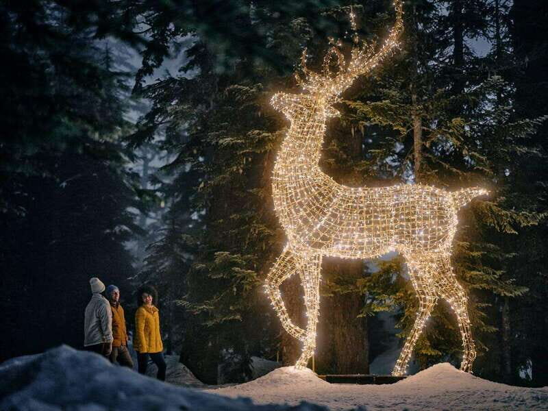 Vancouver: Christmas Lights Karaoke Trolley Tour - Who This Tour Is For (and Who Should Skip It)