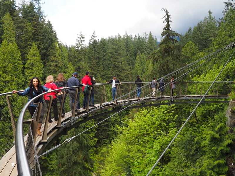 Vancouver City and Capilano Park Private Tour - Olympic Village and the 1938 Lions Gate Bridge Crossing
