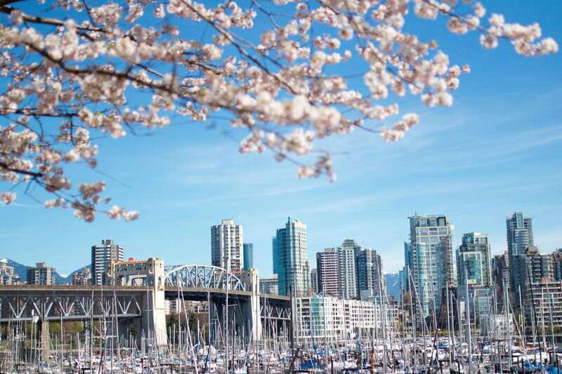 Vancouver: City & Granville Island Sightseeing Trolley Tour - Price and Value: What $60 Buys in 4.5 Hours