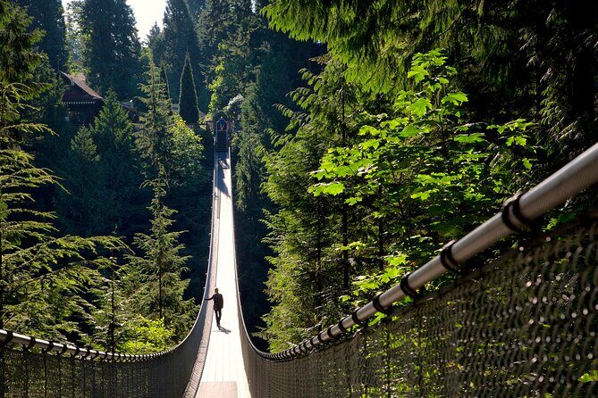 Vancouver City Sightseeing Tour: Capilano Suspension Bridge & Vancouver Lookout - Capilano Suspension Bridge Park: Cliffwalk, tree platforms, and the river drop
