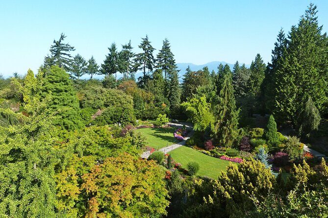 Vancouver City Tour with Admission to Lookout Tower - Comfort, Group Size, and What the Guide Actually Adds
