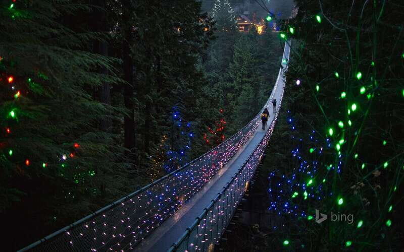 Vancouver: City Tour with Capilano Suspension Bridge - Key things that make this tour a smart use of your time