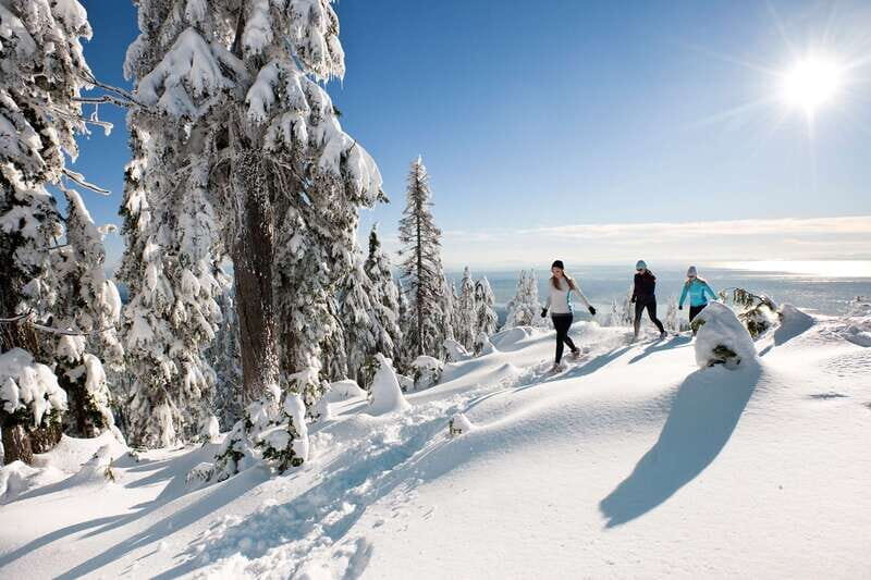 Vancouver: City Tour with Capilano Suspension Bridge - Capilano Suspension Bridge Park: the main event with options