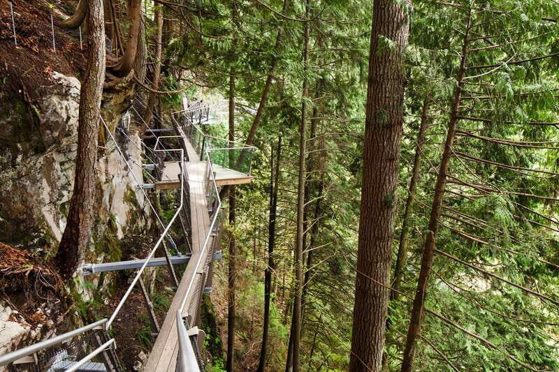 Vancouver: City Tour with Capilano Suspension Bridge - Priority entrance: what it really buys you