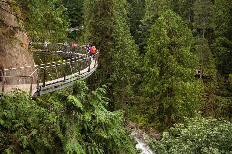 Vancouver: City+Lookout+Capilano Suspension Bridge Ticket - Rain, mist, and timing: how to get your best day anyway