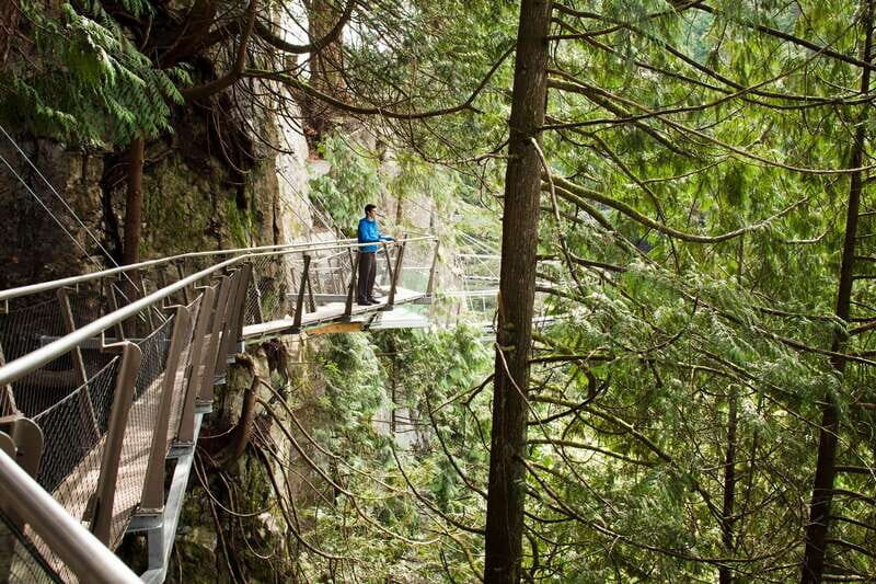 Vancouver: City+Lookout+Capilano Suspension Bridge Ticket - Hotel pickup and the Landsea Tours routine