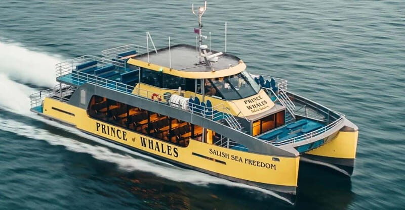 Vancouver: Covered Whale Watching Adventure with Free Photos - What to Bring: Warm Clothing and Closed-Toe Shoes