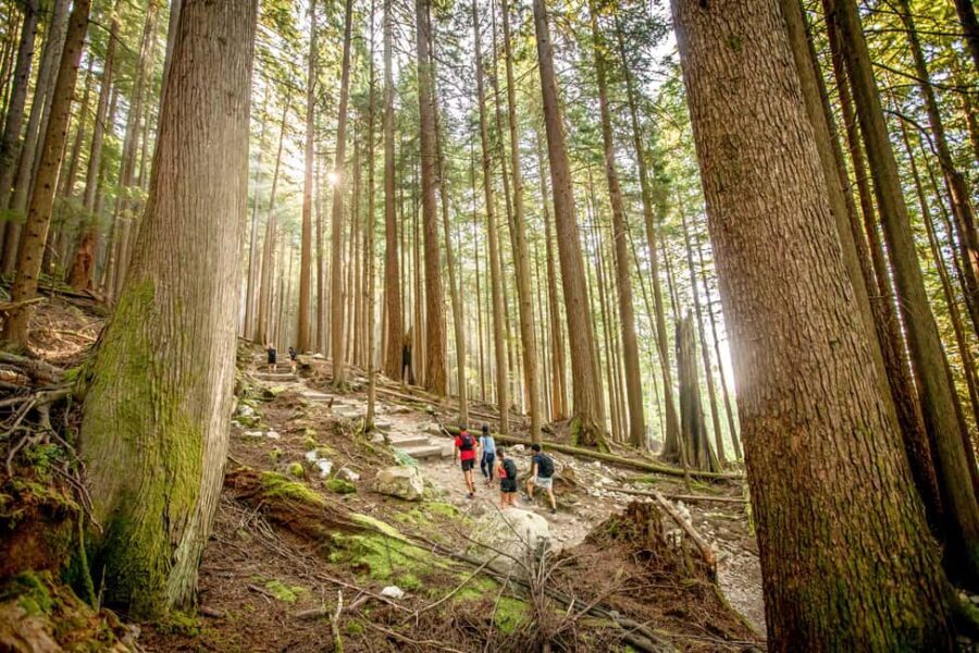 Vancouver: Guided Hiking Highlights at Grouse & Lynn Canyon - Key highlights at a glance