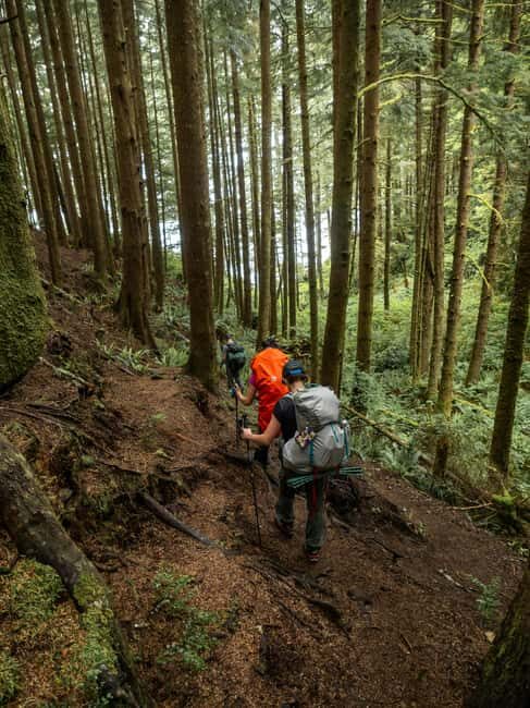 Vancouver: Guided Hiking Highlights at Grouse & Lynn Canyon - Stanley Park quick tour: enough context, not too much sitting