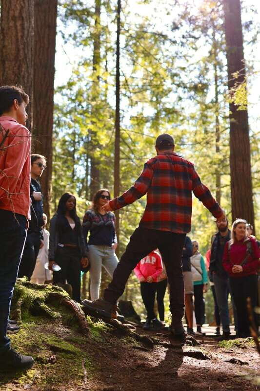 Vancouver: Guided Hiking Highlights at Grouse & Lynn Canyon - Grouse Mountain free time: choose your animal show or just breathe views