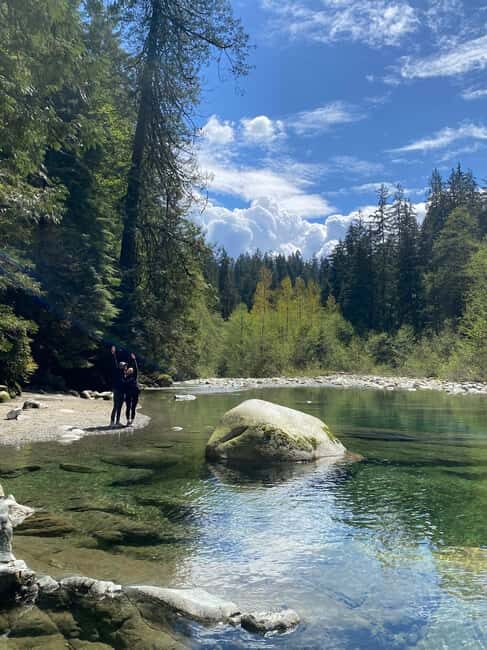 Vancouver: Guided Hiking Highlights at Grouse & Lynn Canyon - Gondola Skyride download ticket: the smart recovery move