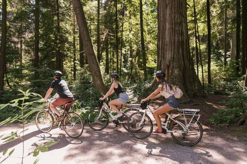 Vancouver: Half-Day City Highlights E-Bike Tour Age 16+ - Why This Half-Day Vancouver E-Bike Tour Is Such a Smart Fit