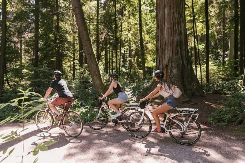 Vancouver: Half-Day City Highlights E-Bike Tour Age 16+ - Seeing 600-Year-Old Trees in a City Park