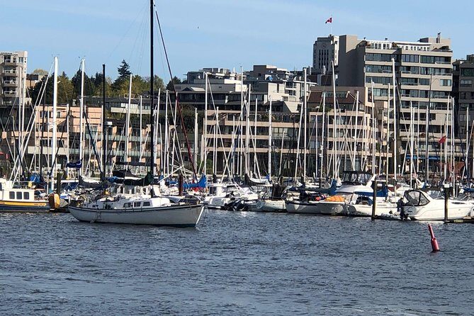 Vancouver Half Day City Tour Private - Private pickup and a 4–5 hour orientation that feels like Vancouver 101