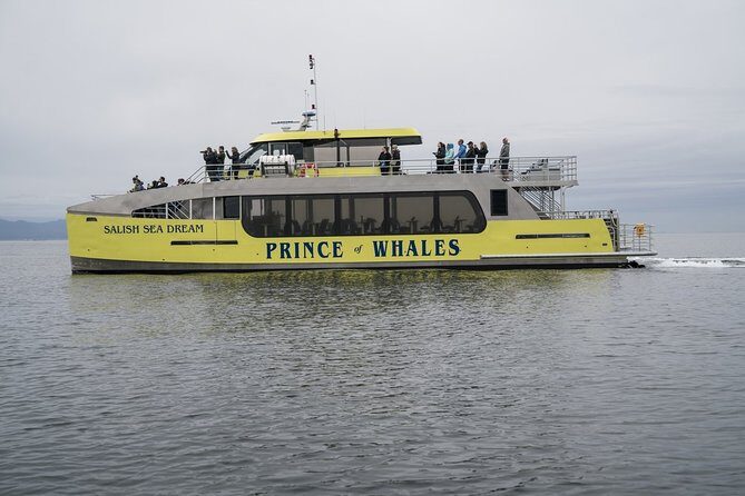 Vancouver Half-Day Whale Watching Adventure with Free Photos - Granville Island Departure and the “Less Hassle” Setup