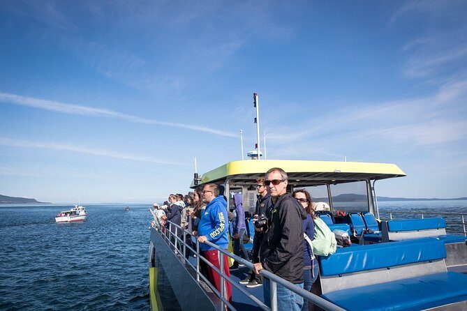 Vancouver Half-Day Whale Watching Adventure with Free Photos - Price Check: Is $193.58 Good Value?