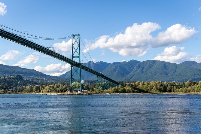 Vancouver Half-Day Whale Watching Adventure with Free Photos - What You Do During the 5-Hour Whale Search (And Why Timing Matters)
